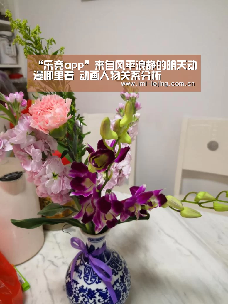 “乐竞app”来自风平浪静的明天动漫哪里看 动画人物关系分析(图1) 乐竞首页