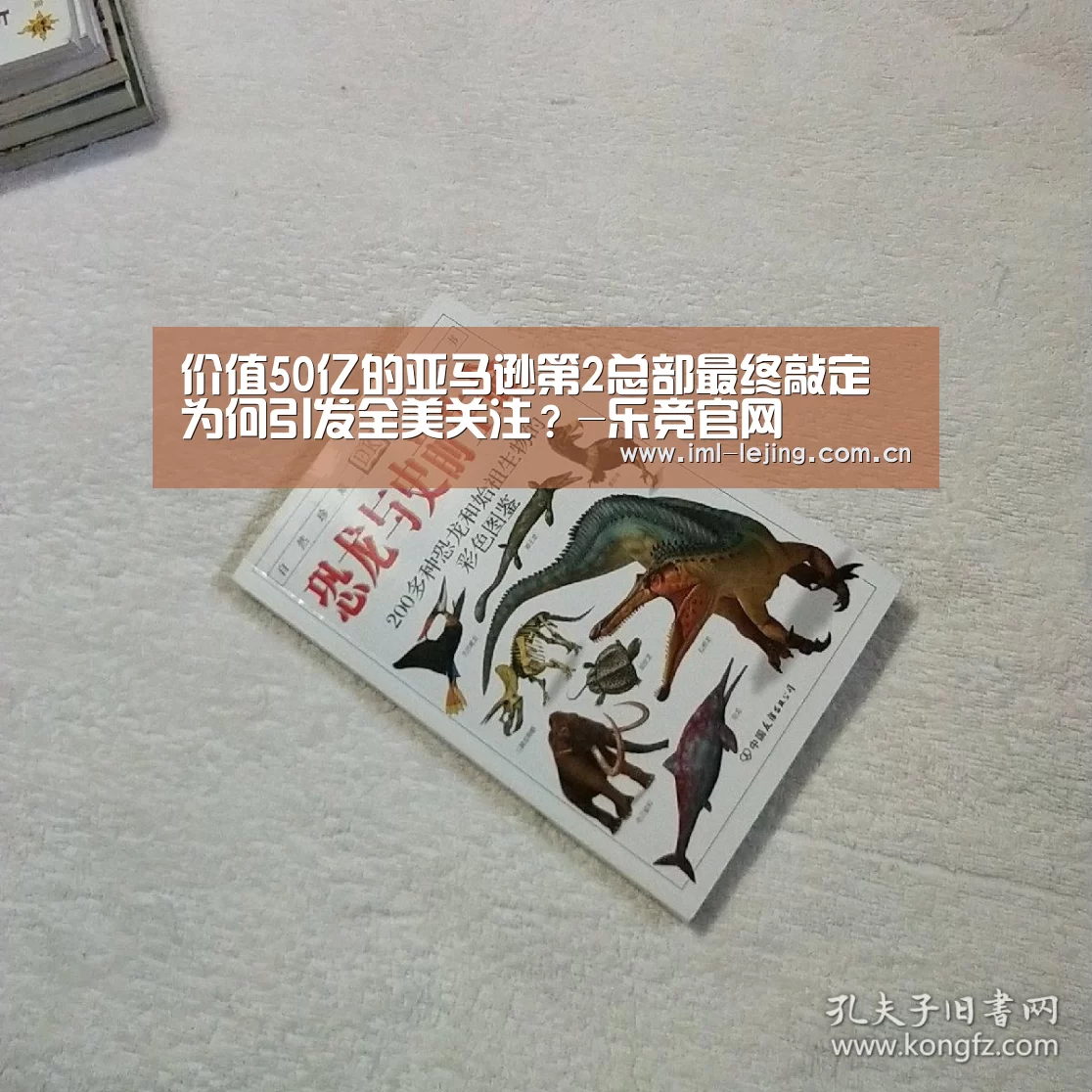 价值50亿的亚马逊第2总部最终敲定为何引发全美关注?-乐竞官网(图2) 乐竞运动