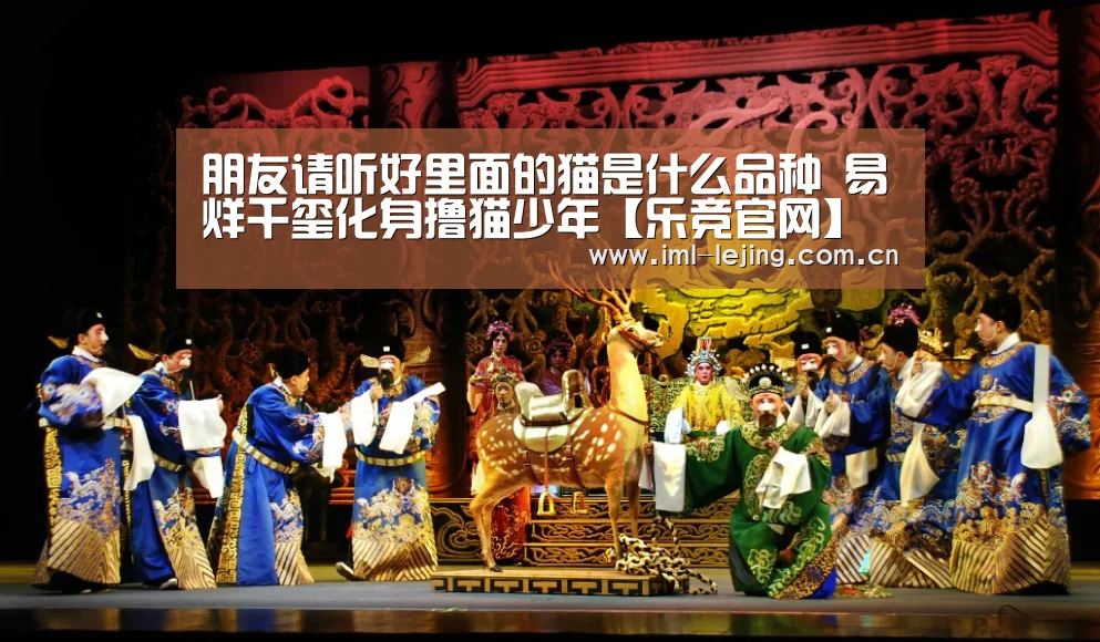 朋友请听好里面的猫是什么品种 易烊千玺化身撸猫少年【乐竞官网】(图1) 朋友请听好里面的猫是什么品种 易烊千玺化身撸猫少年【乐竞官网】(图1)