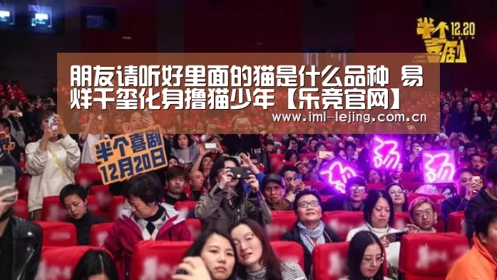朋友请听好里面的猫是什么品种 易烊千玺化身撸猫少年【乐竞官网】(图2) 乐竞