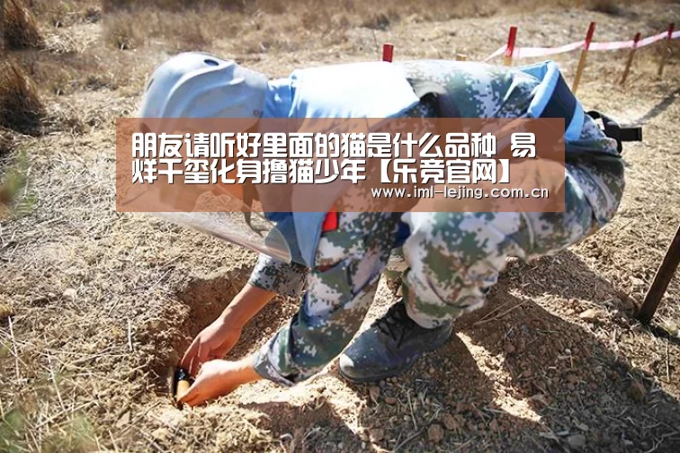 朋友请听好里面的猫是什么品种 易烊千玺化身撸猫少年【乐竞官网】(图3) 乐竞