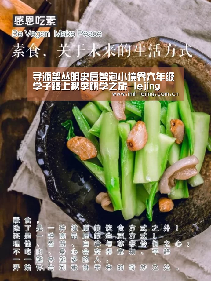 寻源望丛明史启智泡小境界六年级学子踏上秋季研学之旅-lejing(图1) 乐竞