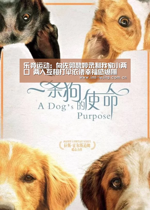 乐竞运动:向佐郭碧婷录制我家小两口 两人互相打伞依偎幸福感爆棚(图1) 乐竞首页